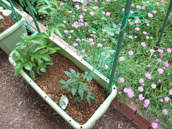 最新情報 練馬区中村敬老館 福祉 介護 支援 社会福祉法人 奉優会 ほうゆうかい